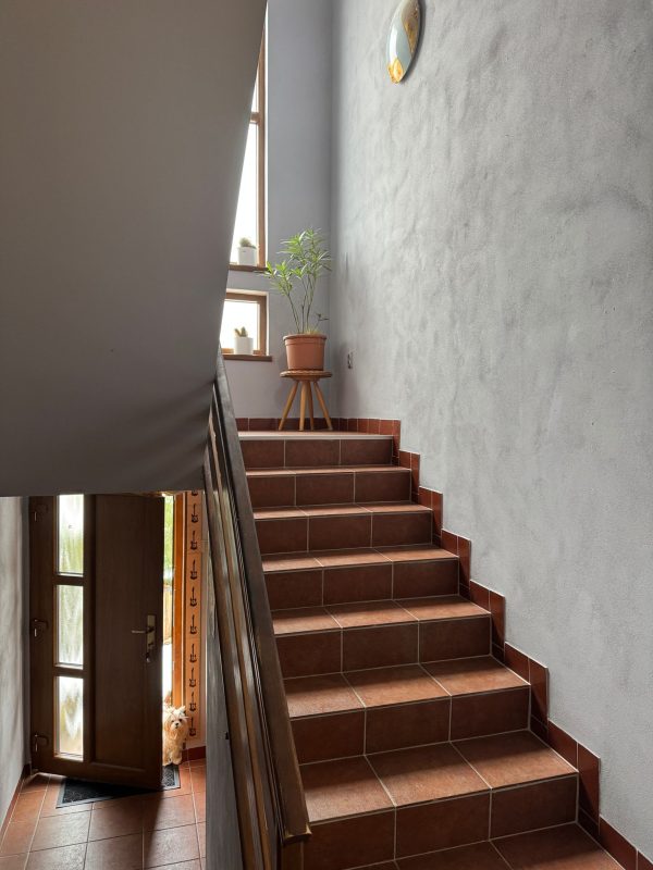 WhatsApp Image 2026-02-01 at 15.50.42